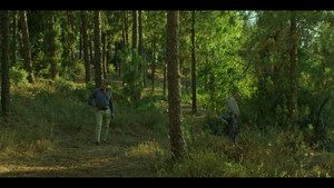 Pines — кадр