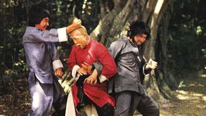 An Old Kung Fu Master — кадр