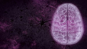 Your Brain — кадр