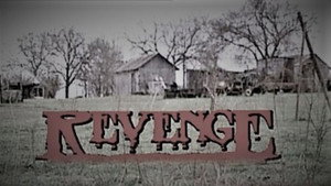 Revenge — кадр