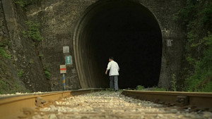 A Blooming Railroad — кадр
