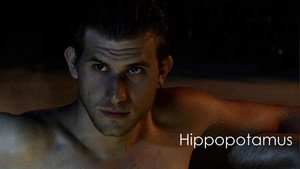 Hippopotamus — кадр