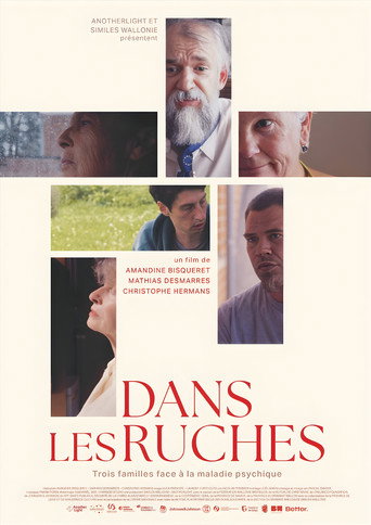 Постер: Dans les ruches