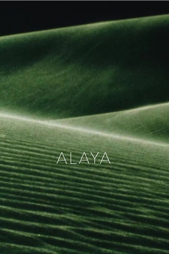 Постер: Alaya