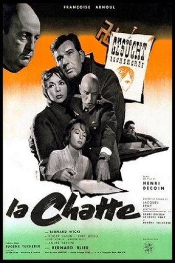 Постер: La Chatte