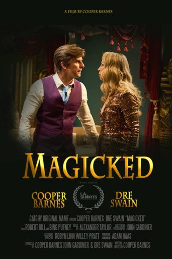 Постер: Magicked