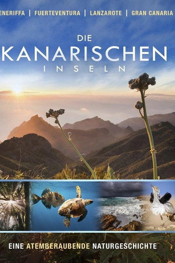 Постер: Wild Canarie