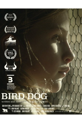Постер: Bird Dog